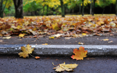 Make Friends With That Curb, Because It Will Teach You What You Need To Know