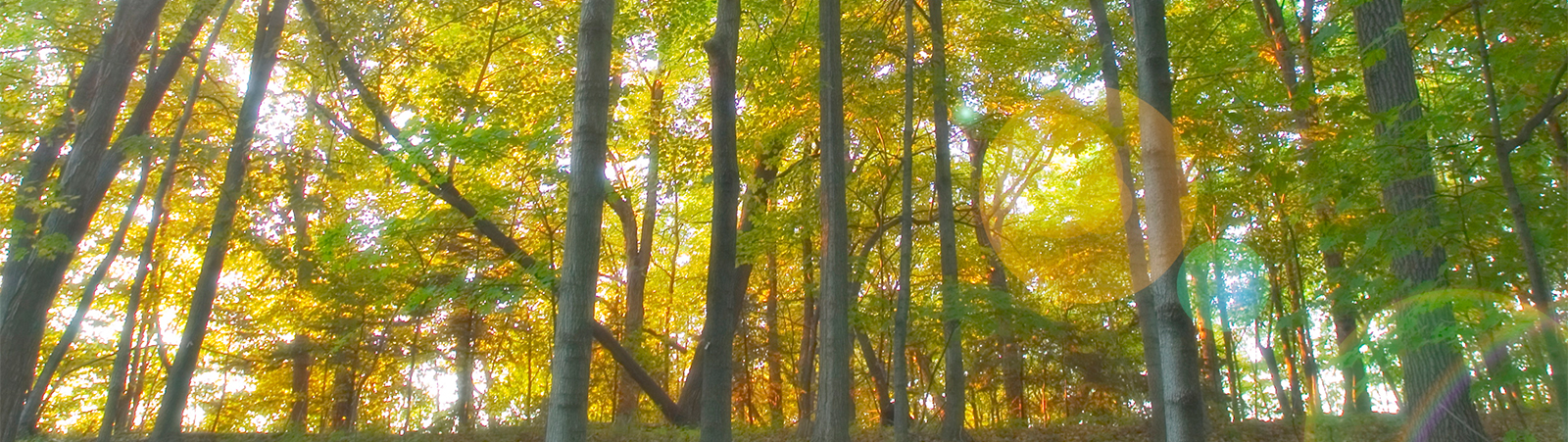 about-banner2.jpg