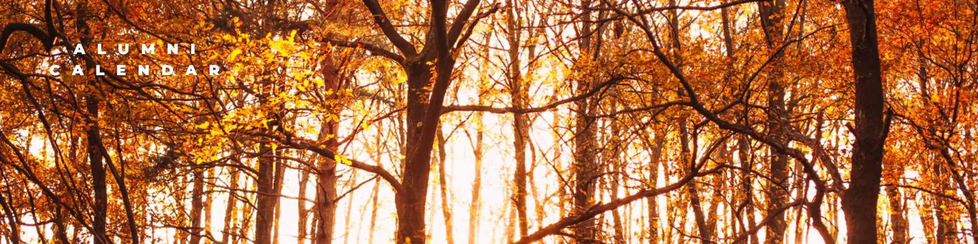 Retreat Alumni+Friends - Hero Banners (1600 × 400 px) (1)