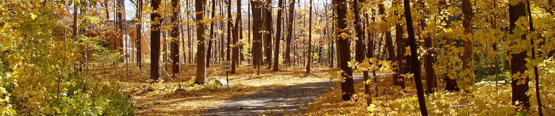 deephaven-1