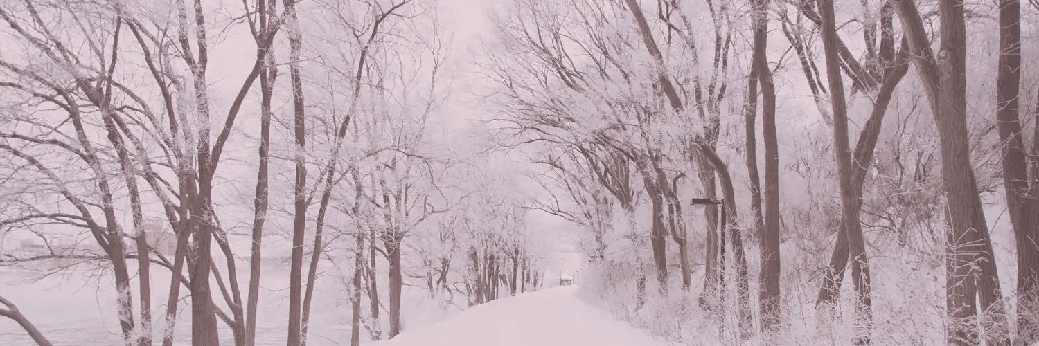 winter (1)