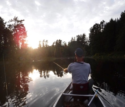 BWCA5 BWCA5